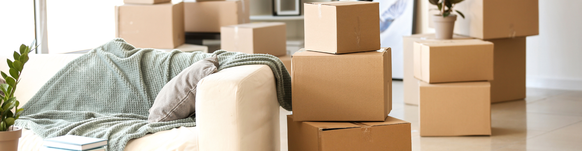 A pile of boxes.